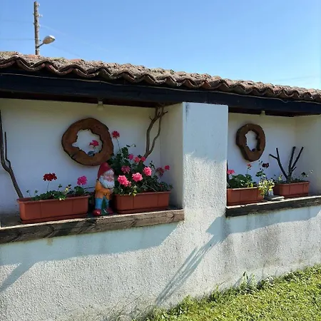 Nadejda In Tyzha