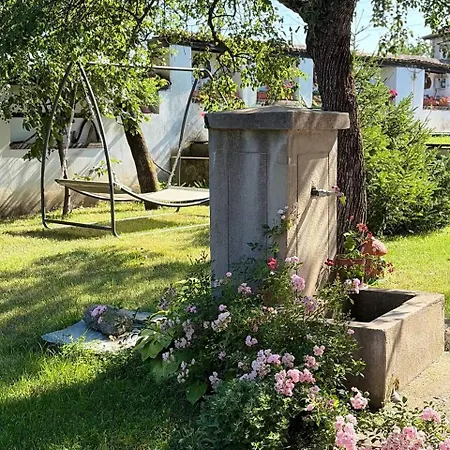 Nadejda In Tyzha Tuzha